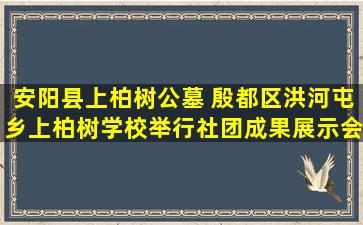 安阳县上柏树公墓 殷都区洪河屯乡上柏树学校举行社团成果展示会